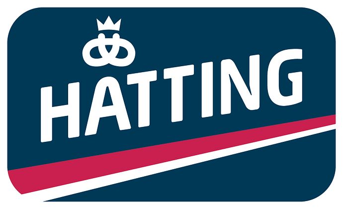 Logotyp för HATTING