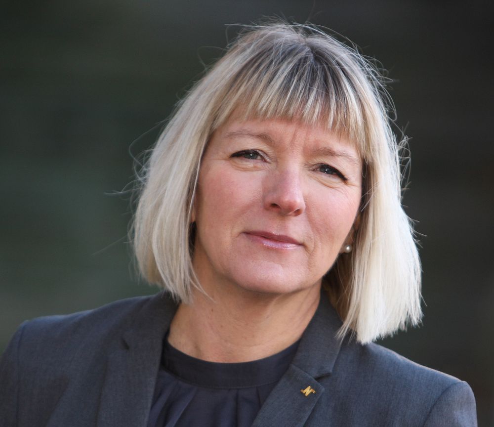 Anne Revland, Näringslivsdirektör i Norköpings kommun