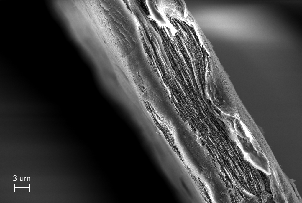 Cellulosa-nanofibrer. Bild: Simon Gustafsson.
