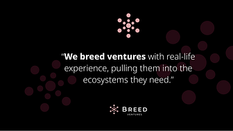 ​Breed Ventures co-creating business with startups and corporates