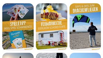Screenshot_Pinterest2_Tourismus-Service_Fehmarn.jpg