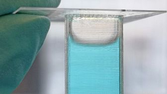 Printat glas hjälper forskare att spåra flyttfåglar 1