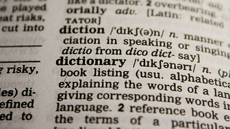 EXPERT COMMENT: Giving back to English: how Nigerian words made it into the Oxford English Dictionary