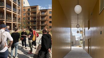 Två av Arkitektbolagets projekt, fr v Vallen och Strandsnäckan, är nominerade till Växjö kommuns nya Träbyggnadspris. 