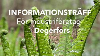Informationsträff för industriföretag i Degerfors
