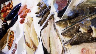 Fish counter with Norwegian seafood
