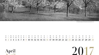 Das erste Goetheanum: Motiv des Kalenderblatts April 2017 (Foto von Gertrud von Heydebrand-Osthoff)