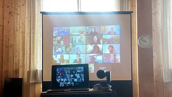 Videokonferenz (Symbolbild, Foto: Edda Nehmiz)