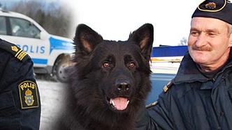 Izor och Puck blev Årets polishund(ar)