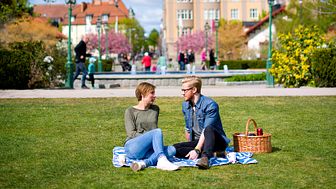 Linköping är en av platserna som slog besöksrekord i somras