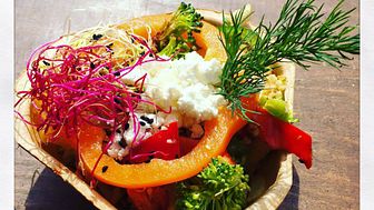 Augenschmaus- Salat-Leckerey