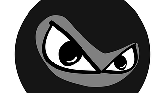 Die neue .ninja-Domain: Für Könner und Experten