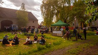 Auf sogenannten „Treidelmärkten“ können sich Interessierte im Sommer ein Bild vom Stand der Dinge auf dem Gelände von Schlossgut Finowfurt machen. Foto: Dirk Stenger. 