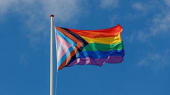 The Progress Pride flag flies on a flagpole in front of a sky background. (Royalty-free stock photo ID 1785493415)