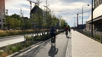 Biobäddar_Neptunigatan i Malmö_cyklister.jpg
