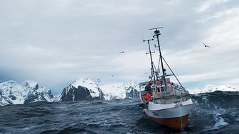 Hvordan skal Norge vinne torskemarkedet i 2021? 