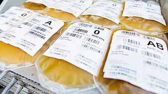 Blod og plasma bør ifølge Bloddonorerne i Danmark ikke betragtes som en handelsvare