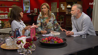 SVT:s fina recension till Karin Alfredssons nya roman Vajlett och Rut