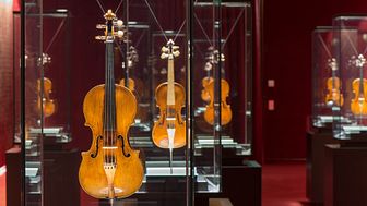 Historical violins from the collection at the Antonio Stradivari Violin Museum, ‘Scrigno dei Tesori’ room. Credit: MdV_20©Cristian_Chiodelli_per_MdV-1