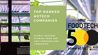 Swegreen names to the Foodtech 500 list – The fortune 500 of the global food technology and innovation
