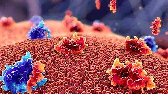 AbbVie har fått positivt CHMP-utlåtande för Venclyxto (venetoklax) som en kemofri kombinationsbehandling för patienter med tidigare obehandlad kronisk lymfatisk leukemi