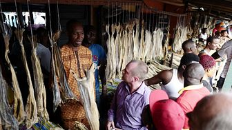 Ronny Berg på tørrfiskmarked i Nigeria