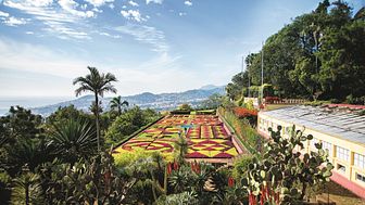 Madeira - Botanical Garden in Funchal - low res