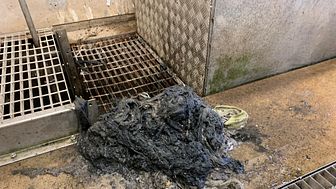 Skräp från inkommande galler på reningsverket i Torekov