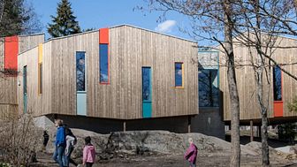 Holz und Architektur: Fassaden für die Zukunft 