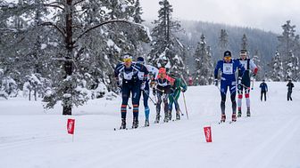 Trysil Skimaraton er kjent for å være et snøsikkert turrenn. Foto: Jonas Sjögren/Trysil