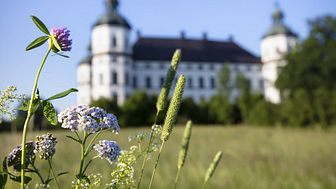 Naturnära utflykt och ett corona-anpassat utbud lockade semesterfirare till Skoklosters slott.
