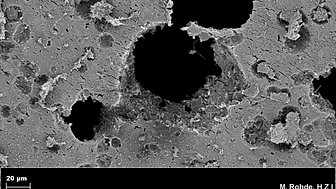 Elektronenmikroskopische Aufnahme von durch bakteriellem Abbau entstandenen Löchern (schwarz) im Plastik Quelle: HZI/Rohde