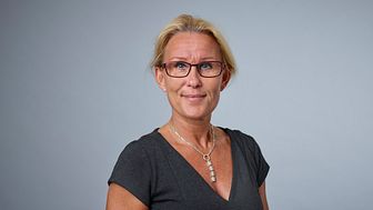 Ulrika Södergren Andersson -  Director Key Account Public
