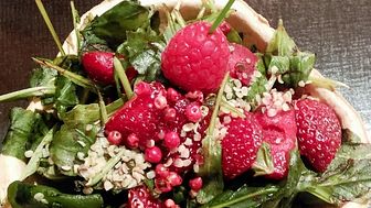 Sommerliche Idee: Erdbeeren auf Ruccola im Füllett 
