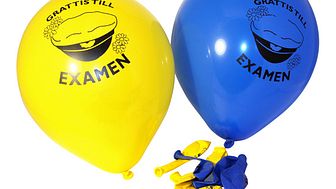 Ballonger - Grattis till Examen (10-pack)
