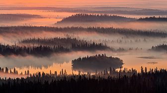 Luontokuva 2020 -kilpailun maisemat sarjan voittaja: Elokuun aamu, kuvaaja Jarmo Manninen, Canon EOS 5D Mark III
