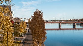 Umeås hotell fortsätter slå rekord i gästnätter under hösten. Foto: Philip Avesand