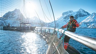 Norwegian salmon farming is among worlds most sustainable protein production