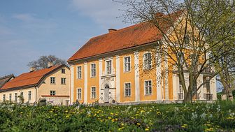 Bilden föreställer en liten del av slottsområdet i Sölvesborg och är tagen i april 2020. Finns att ladda ner som högupplöst pressbild via länk nedan. Foto: Sölvesborgs kommun.