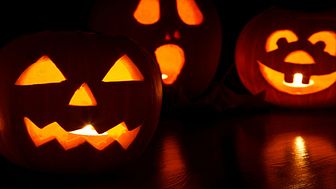 Halloween – Wer haftet für „Saures“? 