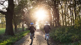 Barn som cyklar på skogsväg i solnedgången.