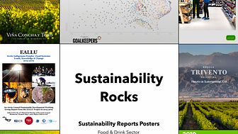Sustainability Rocks, an international book from Hallbars in Sweden