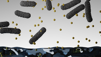 Traditionell antibiotika inkapslad i nanogeler och hydrogeler som effektivt dödar bakterier.  Illustration: Mads Lüchow.