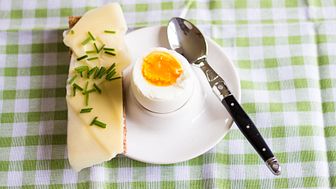 Ägg är det nyttigaste livsmedlet – enligt svenska kvinnor