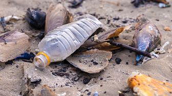 Ny studie jämför plastflaskor med andra alternativ