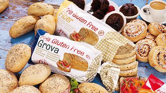 Nu finns Fria på GoodnessDirect, Storbritanniens ledande onlinebutik för glutenfritt och hälsokost   