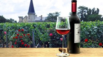 Discover Bordeaux and its Classic Wine Region