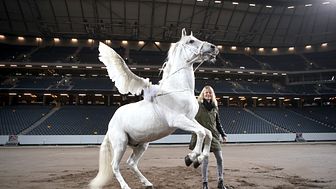Sweden International Horse Show 2015