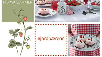 Jordbebæreng - en smak av norsk sommer fra Porsgrunds Porselænsfabrik