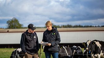 Klimatkollen är en egenutvecklad modell för klimatberäkningar där lantbrukare kan beräkna matens klimatavtryck redan på gården. Foto: Alex Regner.